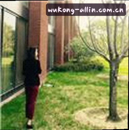 陈涛