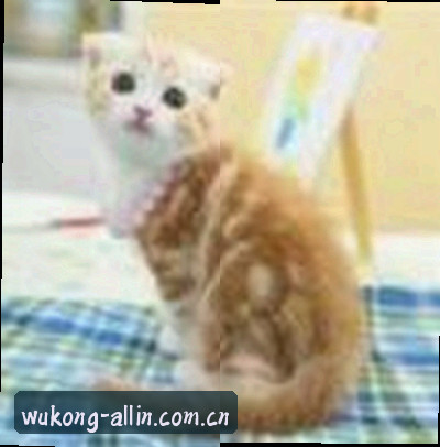 李然